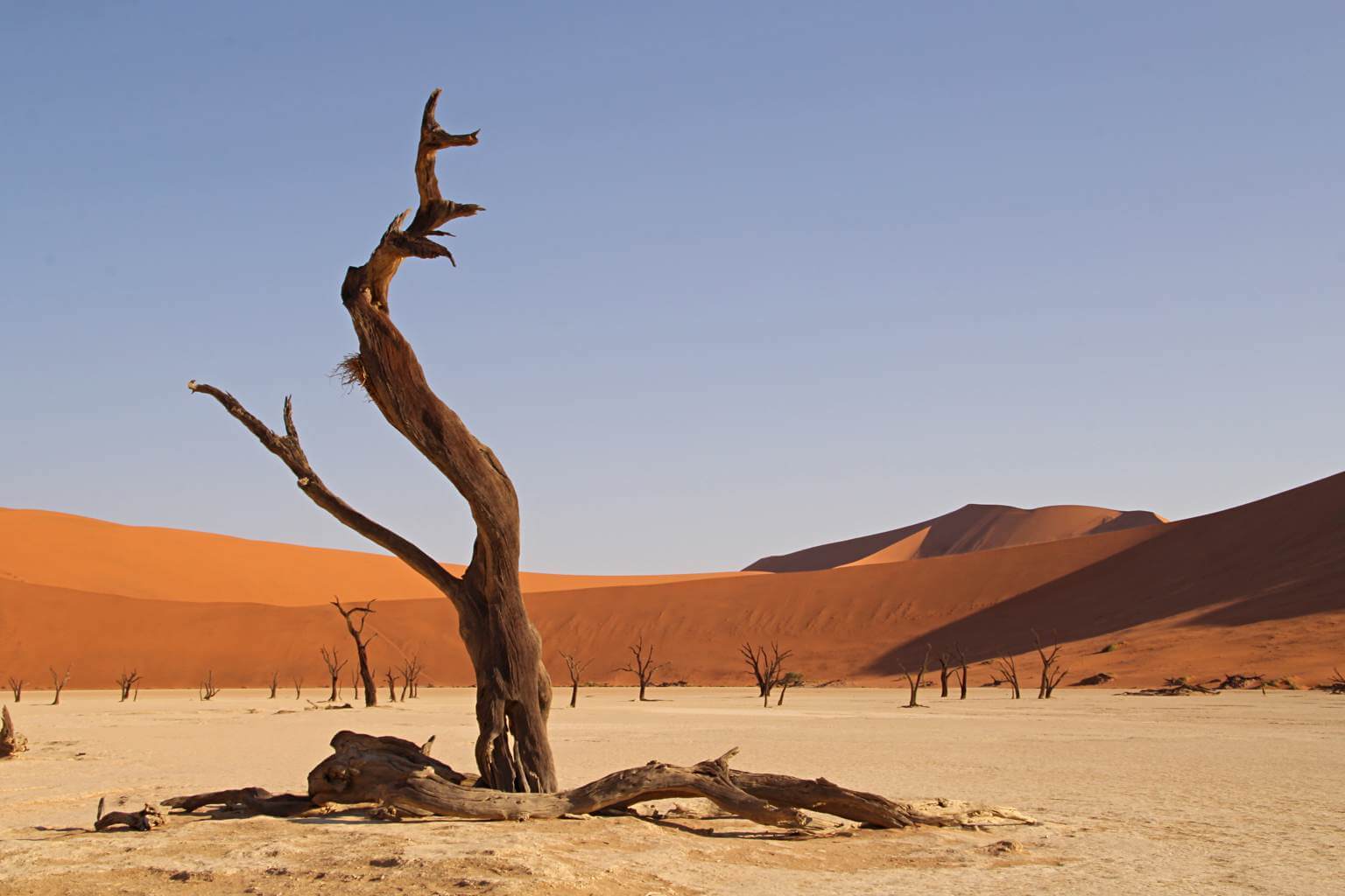 Dünen, Roadtrip Namibia