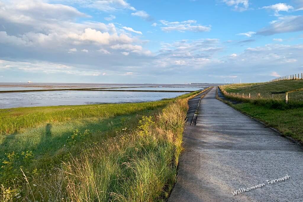 Fahrradweg direkt an der Küste des Nationalparks Wattenmeer, Horumersiel