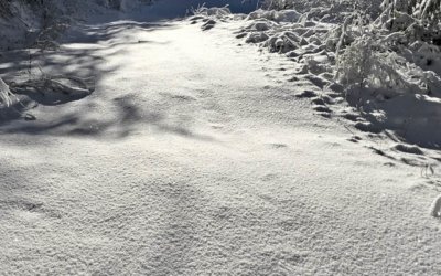 Unberührter Pulverschnee und blauer Himmel: Winterwandern in den Vogesen