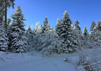 Winter-Wonderland, Vogesen