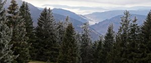 Blick vom Winter-Panoramaweg am Feldberg, Schwarzwald