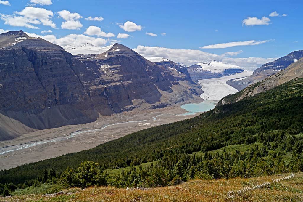 Saskatchewan Glacier, Jasper National Park