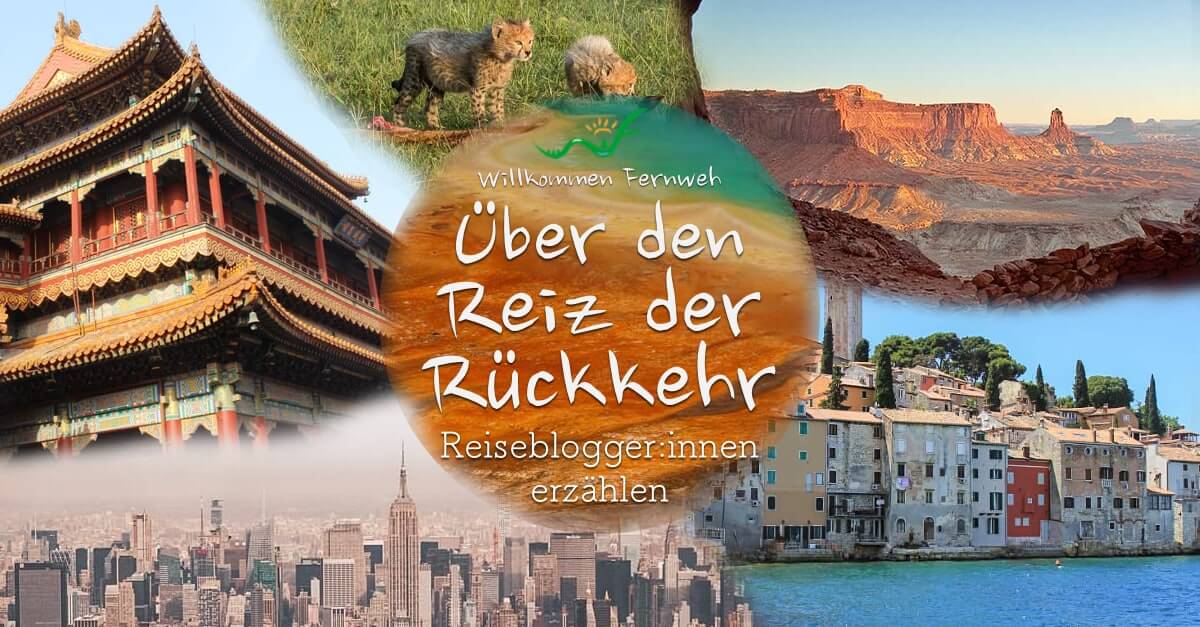Roundup-Reiz-der-Rueckkehr-FB