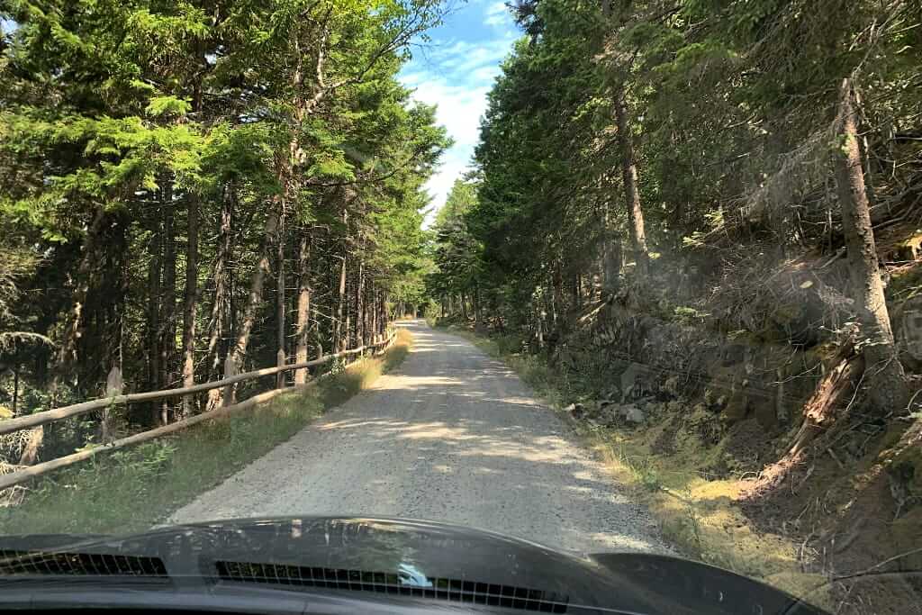 Schotterweg hoch zum Schoodic Head, Schoodic Halbinsel