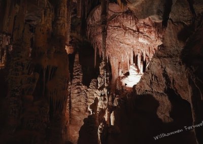 Unzählige Stalaktiten in der Lehman Cave, Great Basin National Park