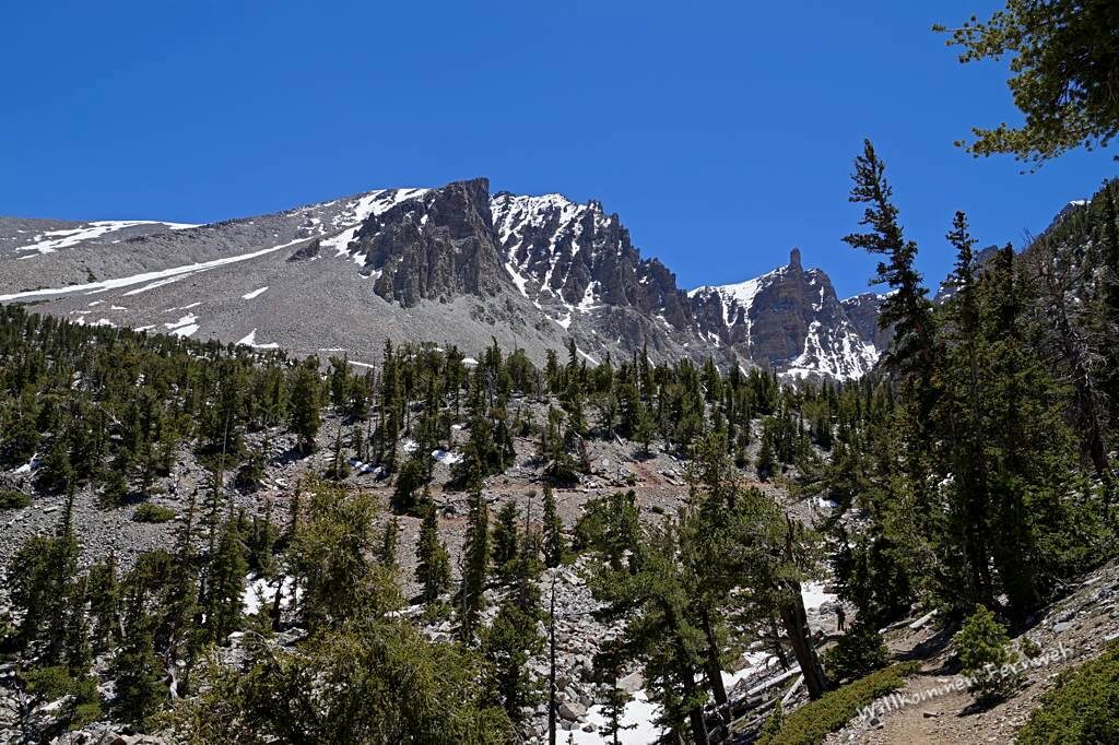 Blick zum Bristlecone Grove und Wheeler Peak, Great Basin National Park