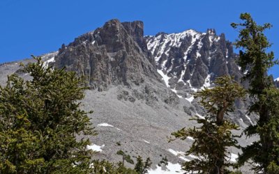 Great Basin National Park: uralte Grannenkiefern und die Lehman Cave