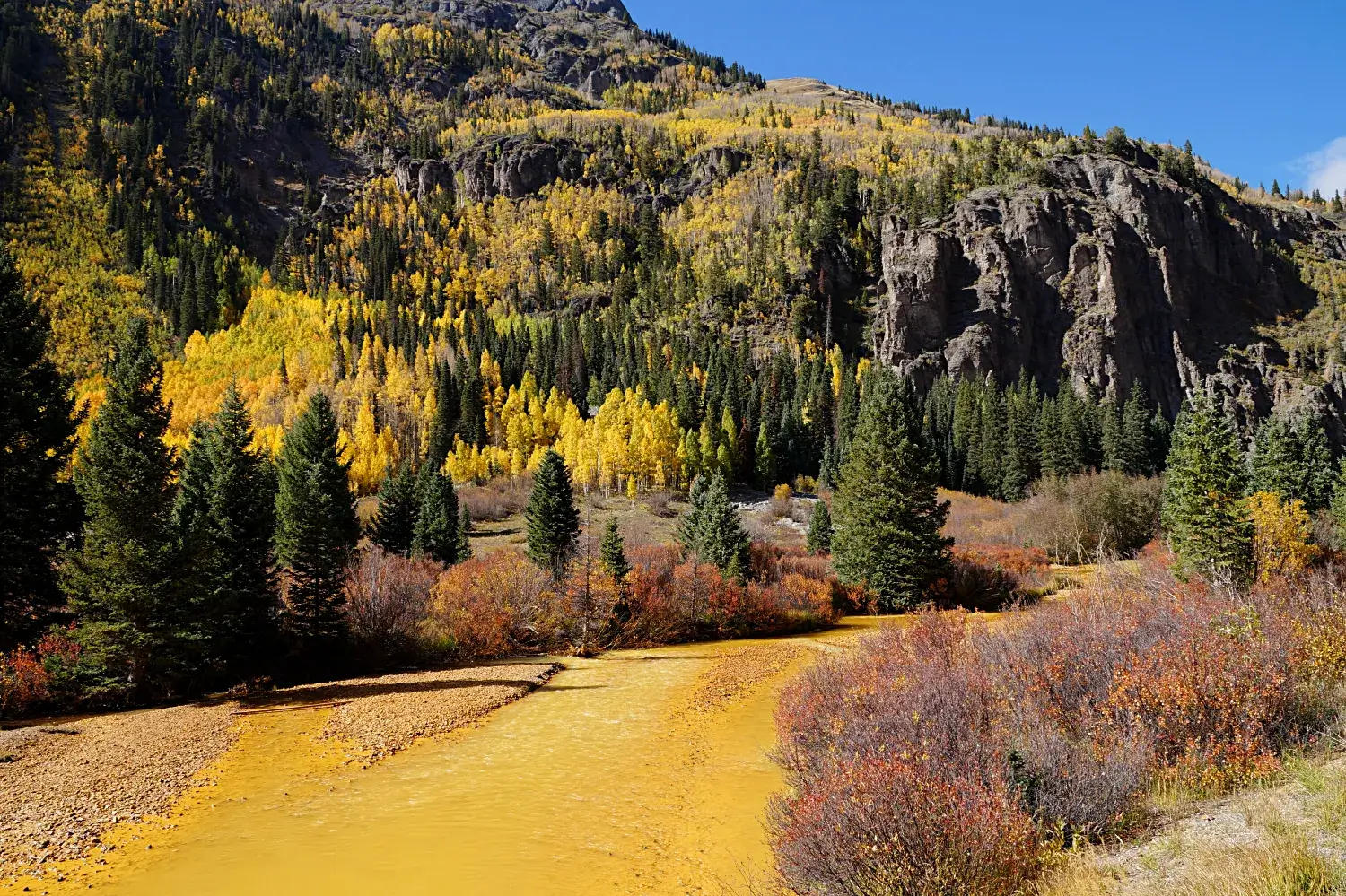 ein gelb gefärbter Fluss mit Berghang dahinter, Bäume im Herbstkleid, darunter viele gelb belaubte Aspen; San Juan Mountains, Colorado, USA
