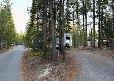 Yellowstone National Park Camping: Ansicht des Canyon Campground mitten im Wald, Yellowstone National Park