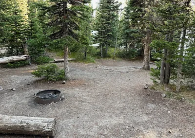 Yellowstone Campground: Site mit Feuerstelle auf dem Lewis Lake Campground im Yellowstone National Park