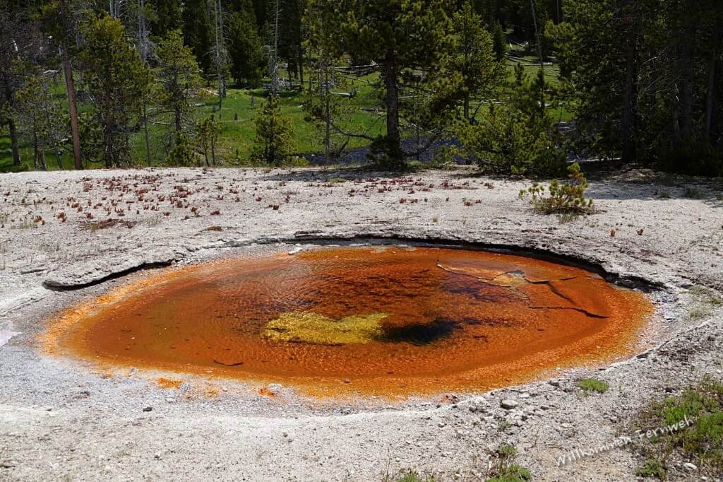 Orangefarbene Quelle im Upper Geyser Basin, Yellowstone National Park