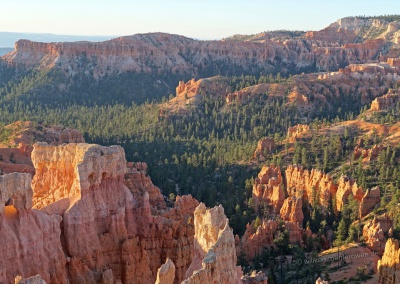 Blick in den Bryce Canyon National Park
