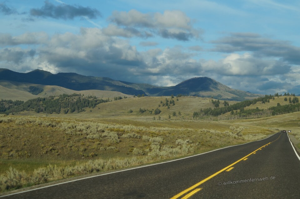 Roadtrip Yellowstone