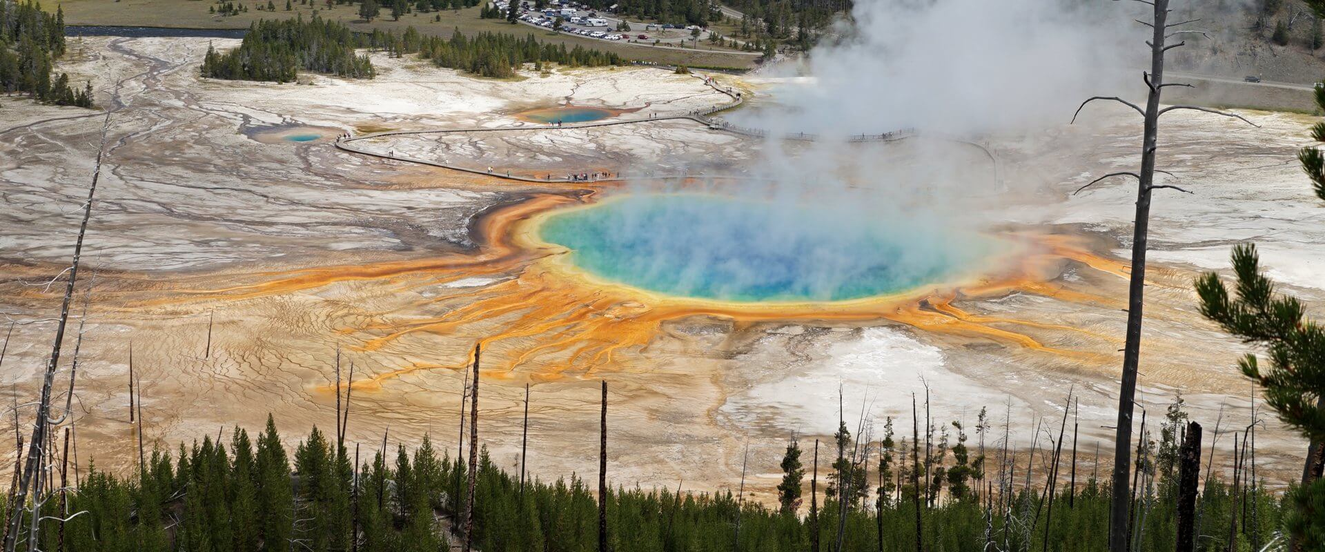 Yellowstone National Park: unsere Highlights