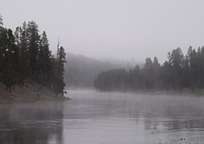 Yellowstone River im Nebel